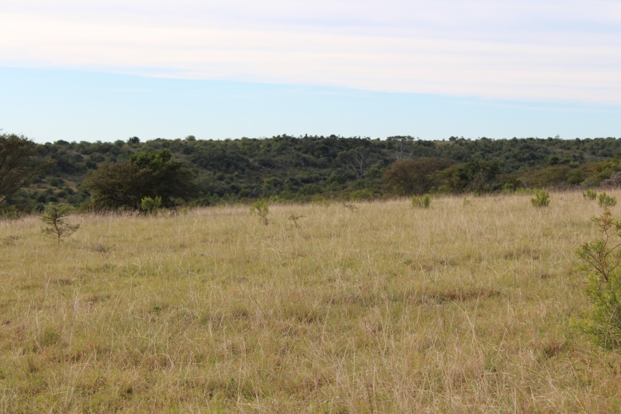 1 Bedroom Property for Sale in Bathurst Rural Eastern Cape